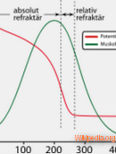 Skike Tipps für die Praxis - High Intensity Training für Skiker