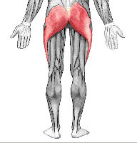 Training der Glutei