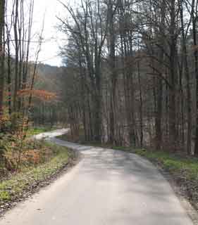 Skiken in Stuttgart - Skike Tour Katzenbacher Hof Einsamer Waldweg