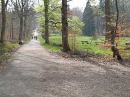 Skike Touren rund um Stuttgart - Druch den Rotwildpark