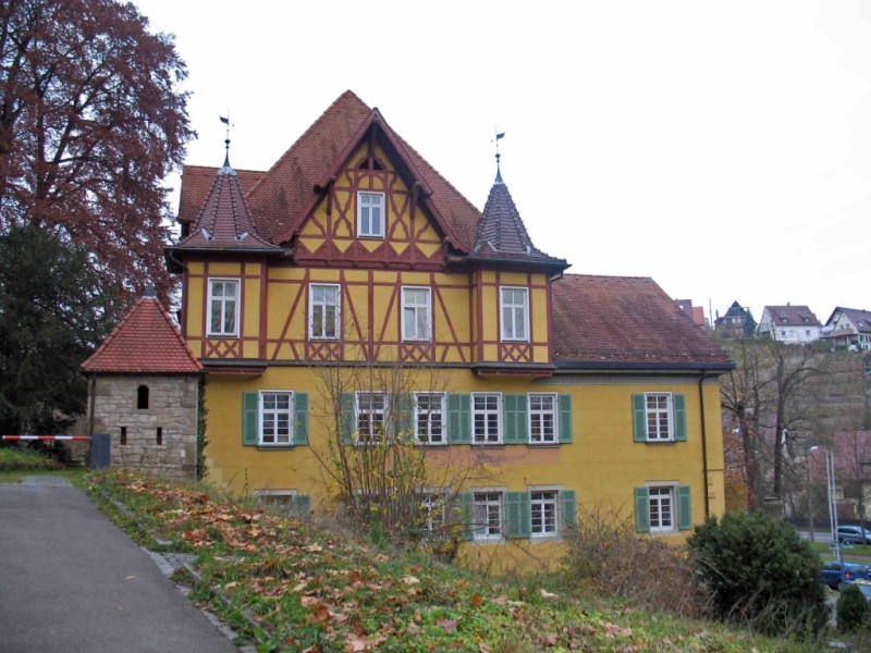 Fröhlich-gesund Skiken nahe Stuttgart - Unterhalb der Weinberge