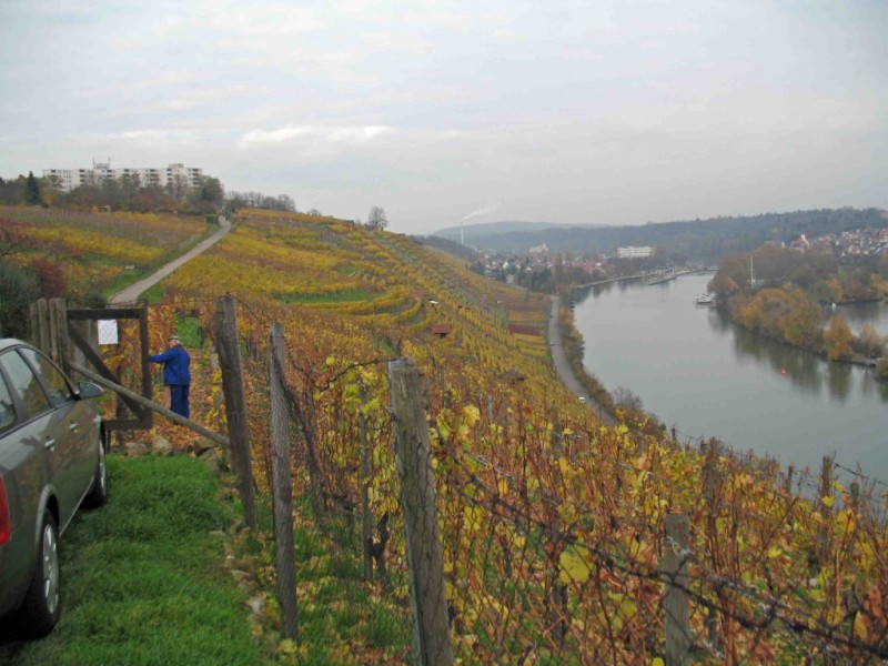 Fröhlich-gesund Skiken nahe Stuttgart -  Oben in den Weinbergen mit Blick auf den Neckar